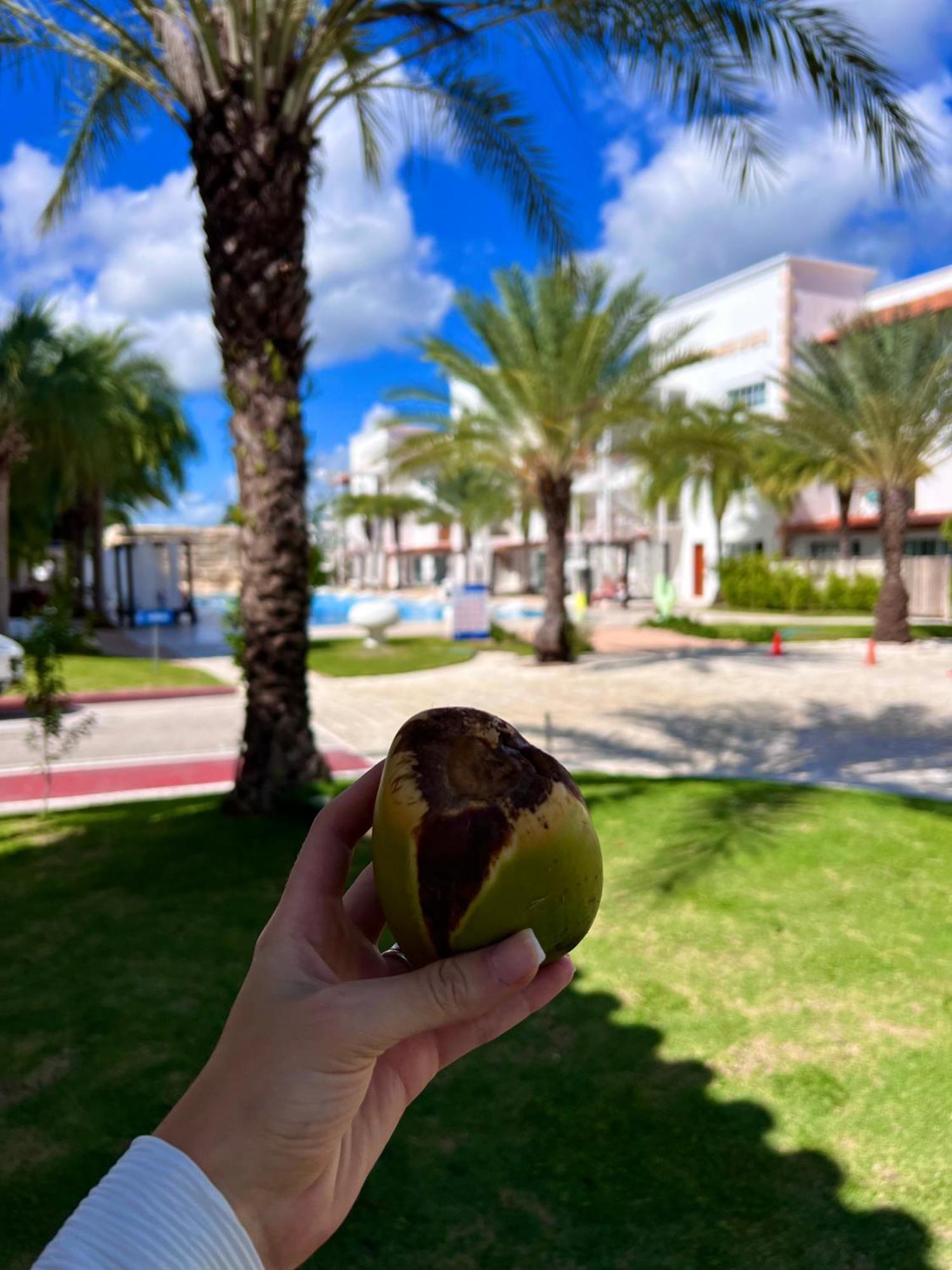 Tanama Hotel Punta Cana Exterior photo